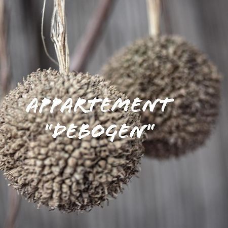 Appartement "Debogen" 엠리크하임 외부 사진