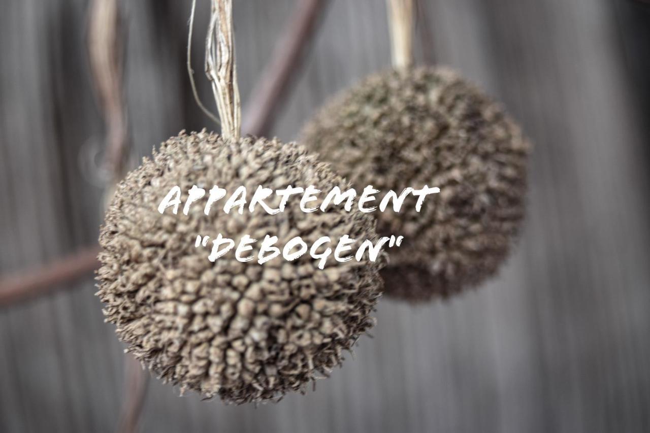 Appartement "Debogen" 엠리크하임 외부 사진